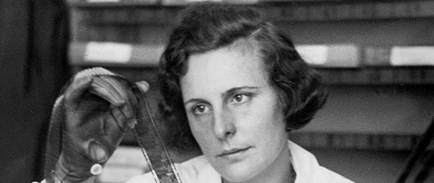 Фото новости