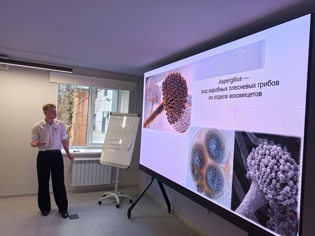 Фото новости