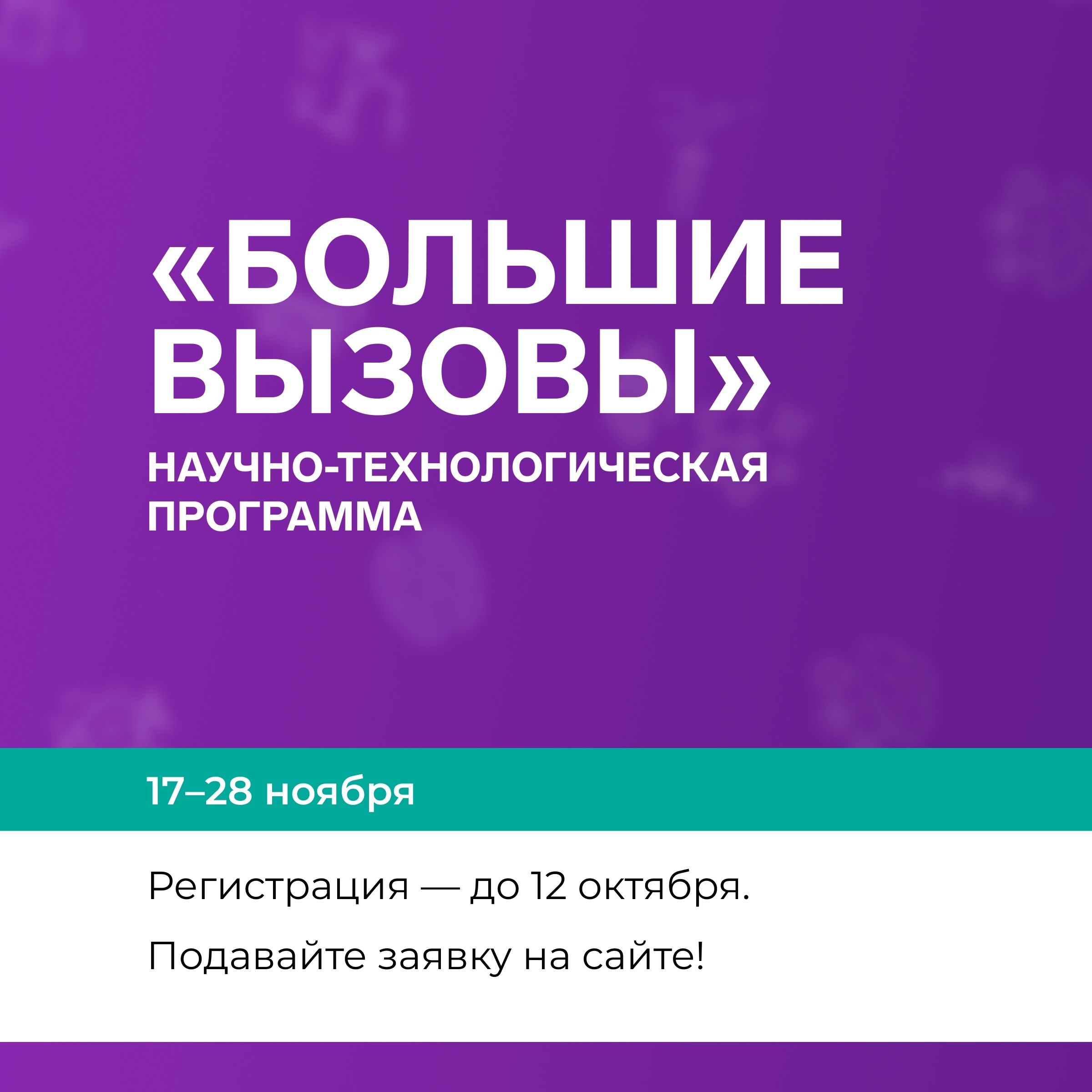 Фото новости