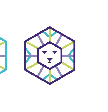 Фото новости