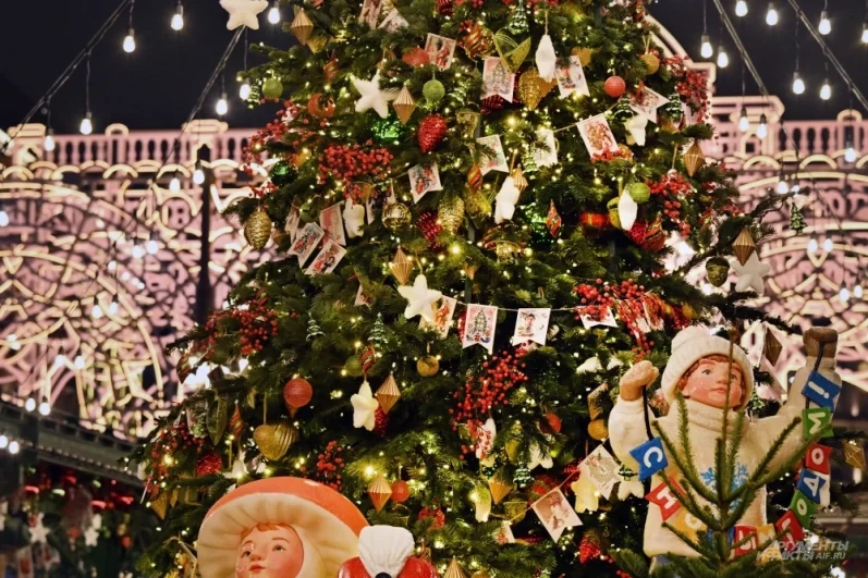 Фото новости