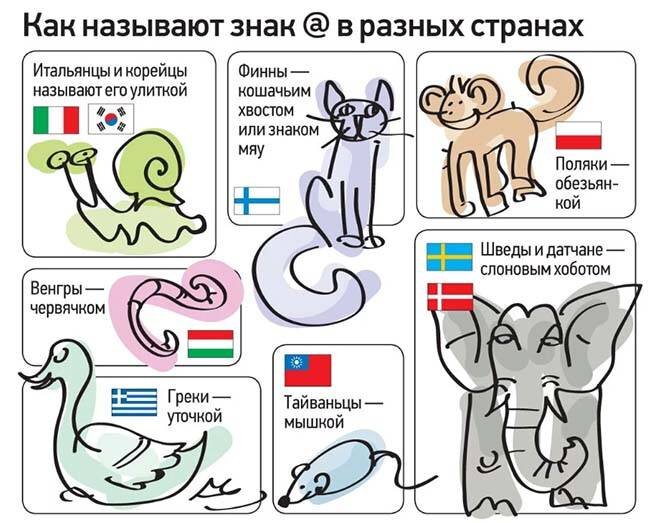 Фото новости